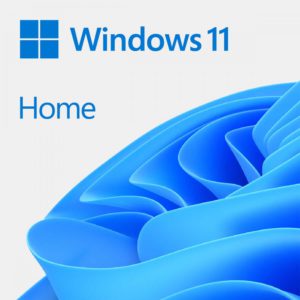 Windows Home 11 64-bit All Lng PK Lic Online DwnLd NR (ESD)