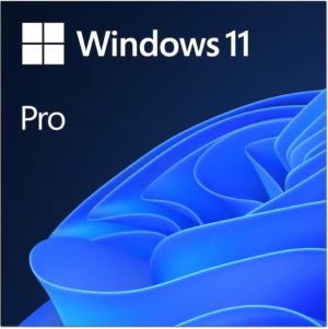 Windows Pro 11 64-bit All Lng PK Lic Online Download NR (ESD)